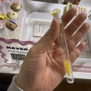 비비아나 | 무쌍 속눈썹펌 잘하는 철산역속눈썹펌 비비아나 솔직후기