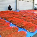 성실농장 이미지