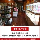 펫콩 네이버블로그