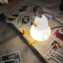 인천송도국제캠핑장 이미지