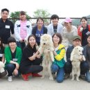 유기코리아 이미지