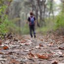 한국목장 이미지