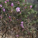 당곡2로 이미지