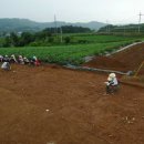 임실 가덕리 하가구석기유적 이미지