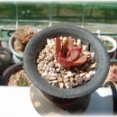 고은햇살 이미지