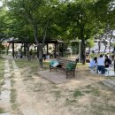 을숙도 리틀야구장 이미지