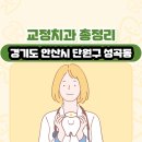 지원로 | 경기도 안산시 단원구 성곡동 교정치과 총정리