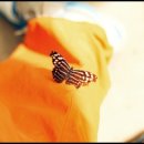 고창대리운전 | 자동차보험 필요성 실제 사고 사례로 보는 꼭 가입해야 하는 이유