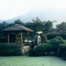 메기의 추억 이미지