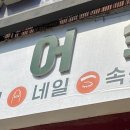 띠네네일모해