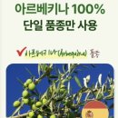 올리브 티스토리