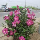 성환주유소 이미지