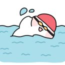 속초라쏘스파풀빌라가족펜션