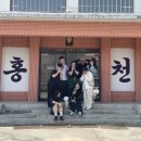 대우(아) | 홍천] 당일치기 홍천 윈스짐(Wins Gym) 드랍인 후기! 홍천 크로스핏 박스 추천 (윈스짐, 대우 닭갈비...