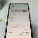 파리바게트 오류역점 | 가고시마 1월 25일 ~ 30일 여행 기록 Day1