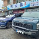 장벌집 | 충남 보령 현지인이 추천한다는 내 돈 내산 후기 아나고탕 아나고구이 장벌집**