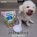 부루펫 | 펫마당 배부루다 기호성 좋은 강아지저알러지사료 급여 후기