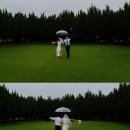 푸르른날 | 광주근교 야외웨딩스냅 촬영후기 | 구례 천 개의 향나무 숲 푸르른 잔디 위 웨딩촬영