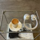 제스티파우더(Zesty powder) 이미지