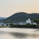 대동농약사 이미지