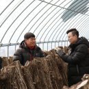 범준농장 이미지