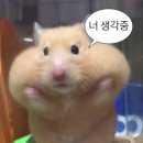 심피트니스