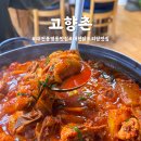 대전 유성 봉명동 닭도리탕 맛집 고향촌