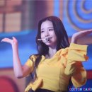 큐리어스 이미지