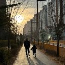 (주) 참좋은태권도 | 요즘 일상기록 : 2월 넷째주