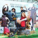 스파이더