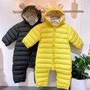 티곰 이미지