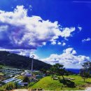 바람이 좋은 저녁 이미지