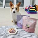 와글리 | 강아지 수제간식 추천 기호성 좋은 펫푸드 와글리