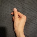제스트고