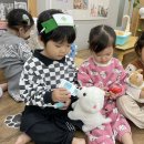 초록애견샵 이미지