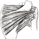 교동한의원 이미지