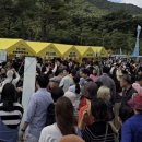 축제김밥 이미지