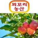 청송농산 이미지