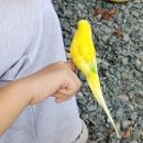 삼방초병설유치원 이미지