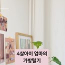 8모먼트