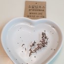 수명로 1길 | 야미가든_샤블랑 이웃님의 씨앗 이벤트 당첨선물 오늘 받았어요^^