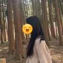설헤어 - 포항시 북구 용흥로 86 | 부산 용호동 미감좋은 원장님의 레이어드컷 상세후기 : 설헤어 (커트 디테일 사진 포함)