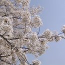 바람의노래식당 이미지