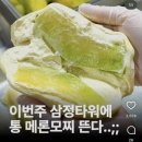 과일칭구 - 동구 동부로30길 103-13 | 부산 서면 삼정타워x김모찌 팝업 대왕과일모찌 내돈내산 후기