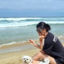 자라목펜션 이미지