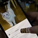 혜림농장 | 그대 춤을 추는 나무같아요 그 옆에 도끼로 찍어버리는 나무꾼은나에ㅛ요