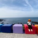 비하인드 제주홈 이미지