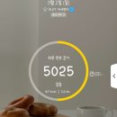 부엉일상 / 250227 ~ 250310