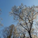 과천역 7번 출구(내점길) 이미지