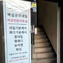 백설공주 래쉬
